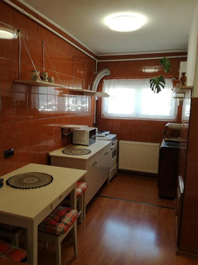 Sara Apartman Targu Mures Exterior foto