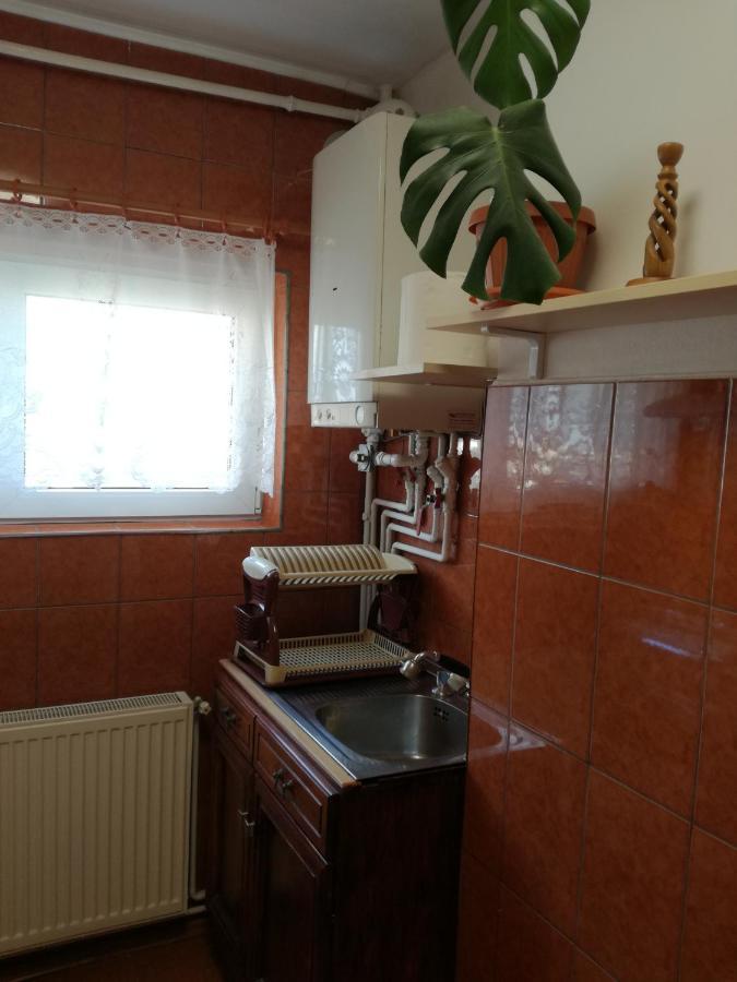 Sara Apartman Targu Mures Exterior foto
